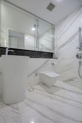 Wallich Residence  (D2), Condominium #558403511